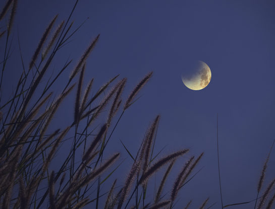 Horóscopo de la Luna en cuarto creciente del 18 de febrero: descubrí cómo influirá en tu signo