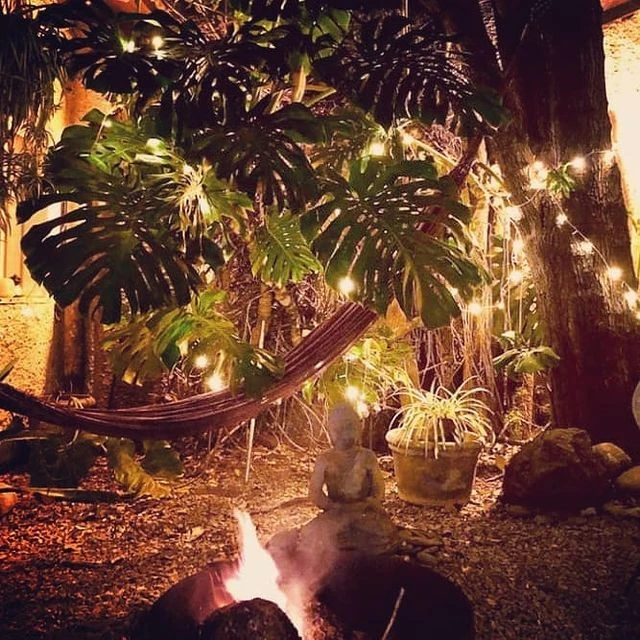 Colgados en las ramas atraen la atención y le dan un aire romántico y cálido.