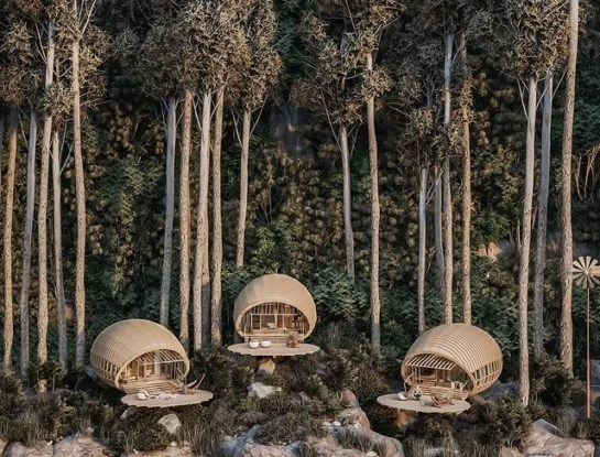 En estas cabañas la arquitectura crea en sintonía con la naturaleza