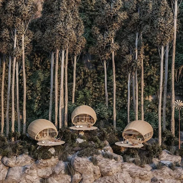 Cabañas de madera. Estancias cortas