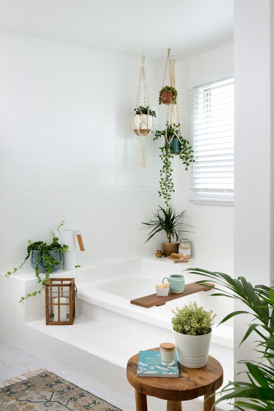 Plantas en el baño