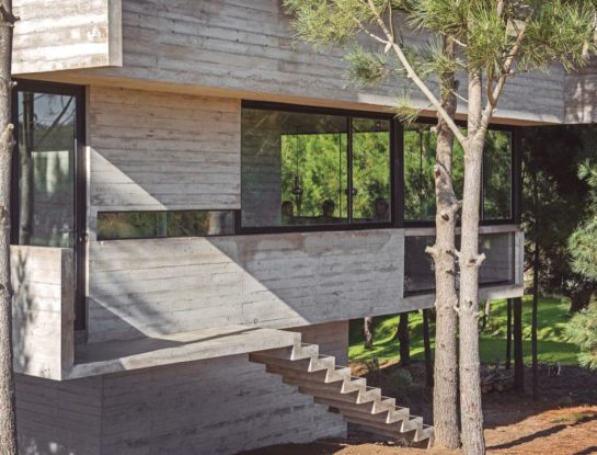 Una “casa en los árboles” moderna, minimalista y natural