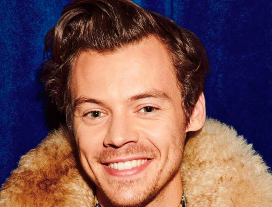 Harry Styles protagoniza la nueva campaña de Gucci Beloved