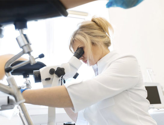 Qué es el cáncer de útero, la enfermedad que causó la muerte de Sofía Sarkany