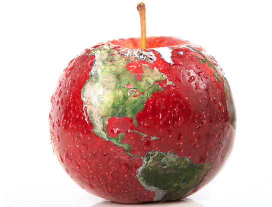 Qué es la nutrición sustentable