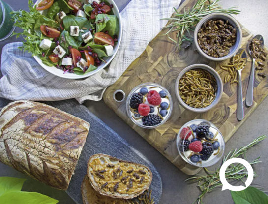 4 razones por las que los insectos podrían ser un elemento básico en la dieta