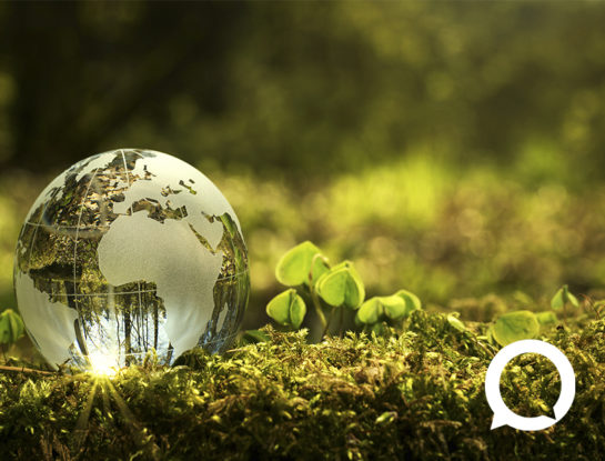 ¿Por qué el veganismo puede ayudar a frenar el calentamiento global?