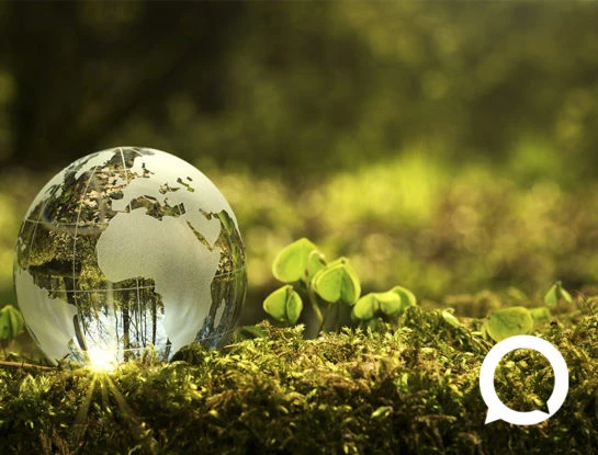 ¿Por qué el veganismo puede ayudar a frenar el calentamiento global?