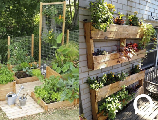 Animate a armar tu propia huerta urbana