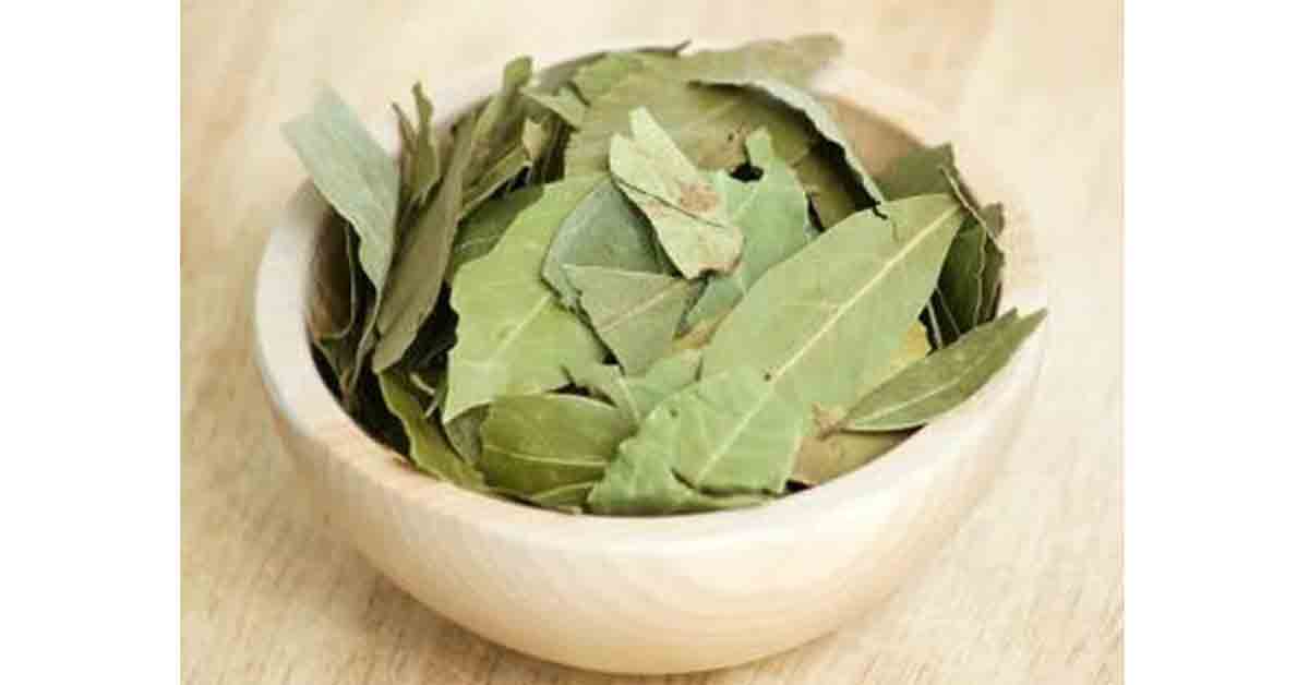 El ritual del que todos hablan se hace con hojas de laurel y sirve