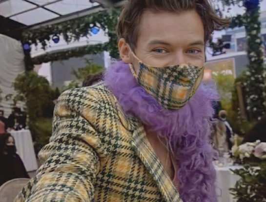 El nuevo proyecto de Harry Styles (que no tiene nada que ver con la música)