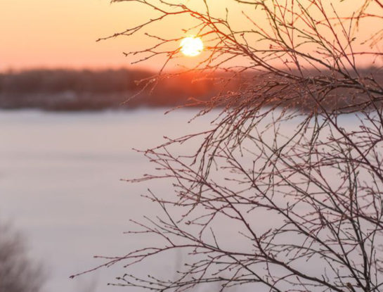 Horóscopo del solsticio de invierno del 21 de junio: descubrí cómo influirá en tu signo