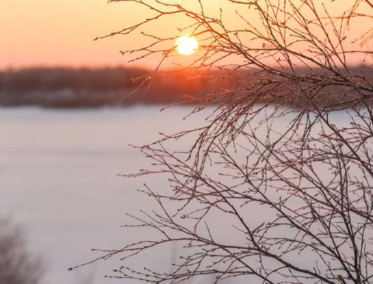 Horóscopo del solsticio de invierno del 21 de junio: descubrí cómo influirá en tu signo