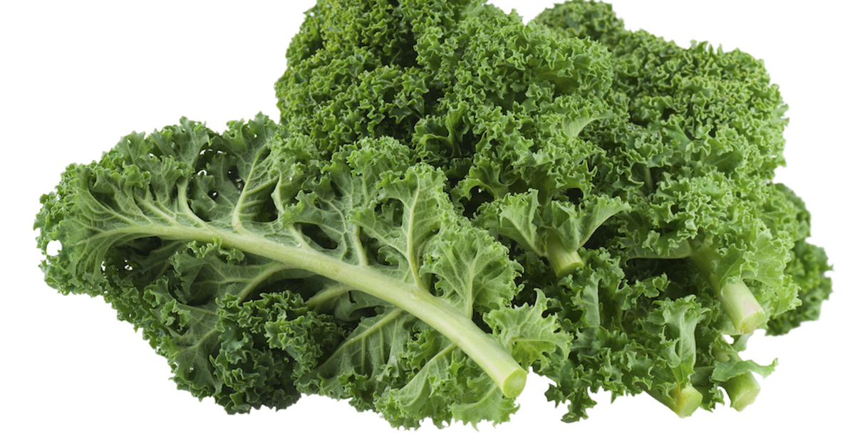 6 propiedades del kale, la verdura con más calcio que la leche y más
