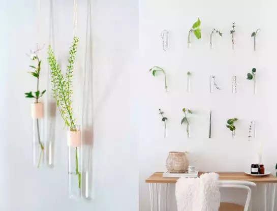 #DecoTips: todo lo que tenés que saber para armar tu propio hidroterarrio