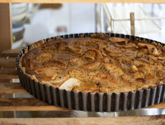 Tarta fácil de coco y manzana con base de algarroba