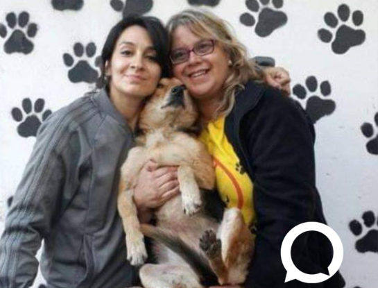 Anita Martínez, madrina del refugio San Francisco de Asís, dice: "Colaborá con lo que puedas para ayudar a los animales abandonados... ¡Todo suma!"