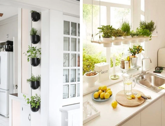 #DecoTips: todo lo que tenés que saber para hacer tu propia huerta de interior