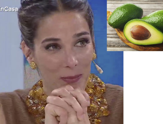 Cómo cultivar paltas en tu casa como Juana Viale