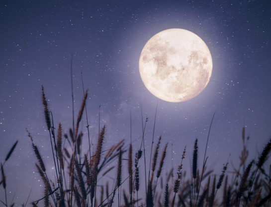 Luna llena del 11 de agosto: cómo afectará a cada signo del zodíaco