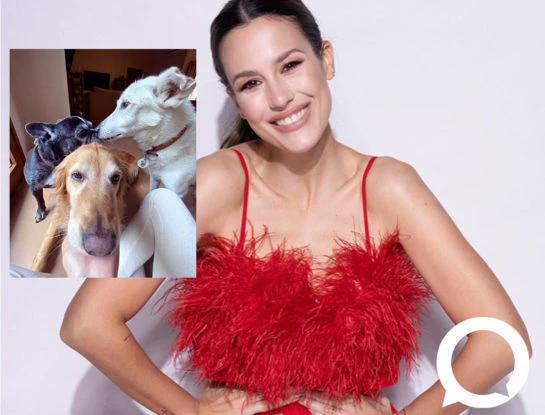 Luli Fernández habla de Zaguates: “Es un refugio de animales en el que se trabaja seriamente y necesita el apoyo de todos nosotros”