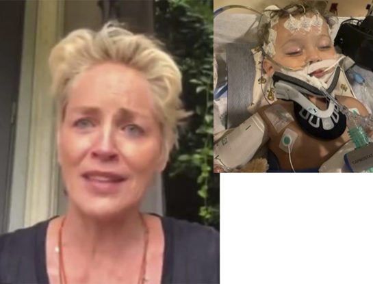 El sobrino de Sharon Stone pelea por su vida: tiene 11 meses, está en coma y la mamá del bebé dice que si sobrevive "nunca volverá a ser el mismo"