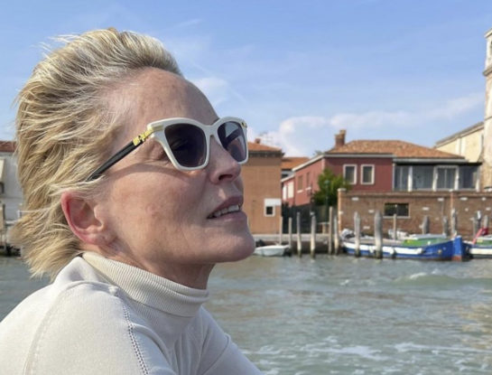 Sharon Stone tuvo que abandonar Venecia porque su sobrino de 11 meses empeoró: ¿qué enfermedad lo dejó en coma y al borde de la muerte?