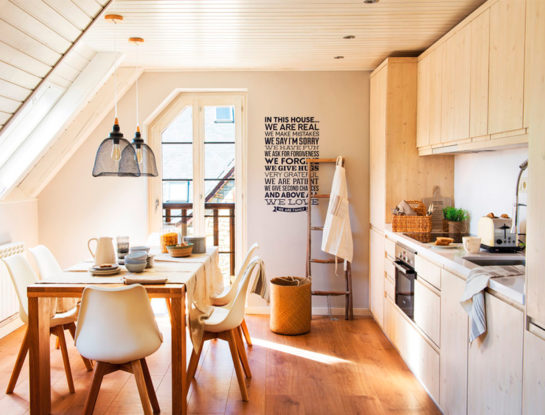 Distribución de cocinas en línea: una de las opciones más económicas y perfectas para espacios estrechos