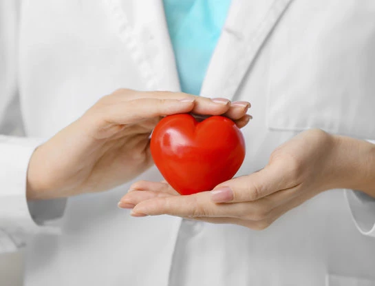 La definición de colesterol bueno y malo, en duda: una especialista explica cuáles serían las causas de la aparición de la arterioesclerosis