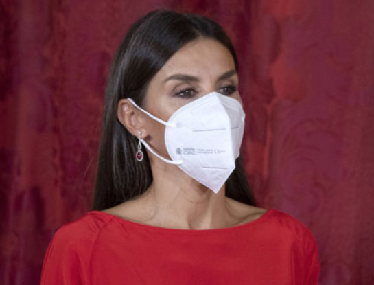 Letizia Ortiz apuesta por un look monocolor en su color fetiche