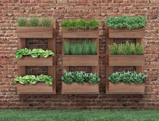 #DecoTips: qué sembrar y cómo cuidar la huerta durante la primavera