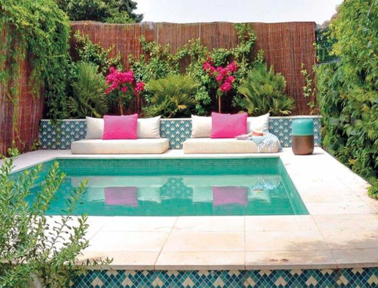 Estas son las plantas perfectas para "decorar" los bordes de las piletas: la tendencia en jardinería que triunfará este verano