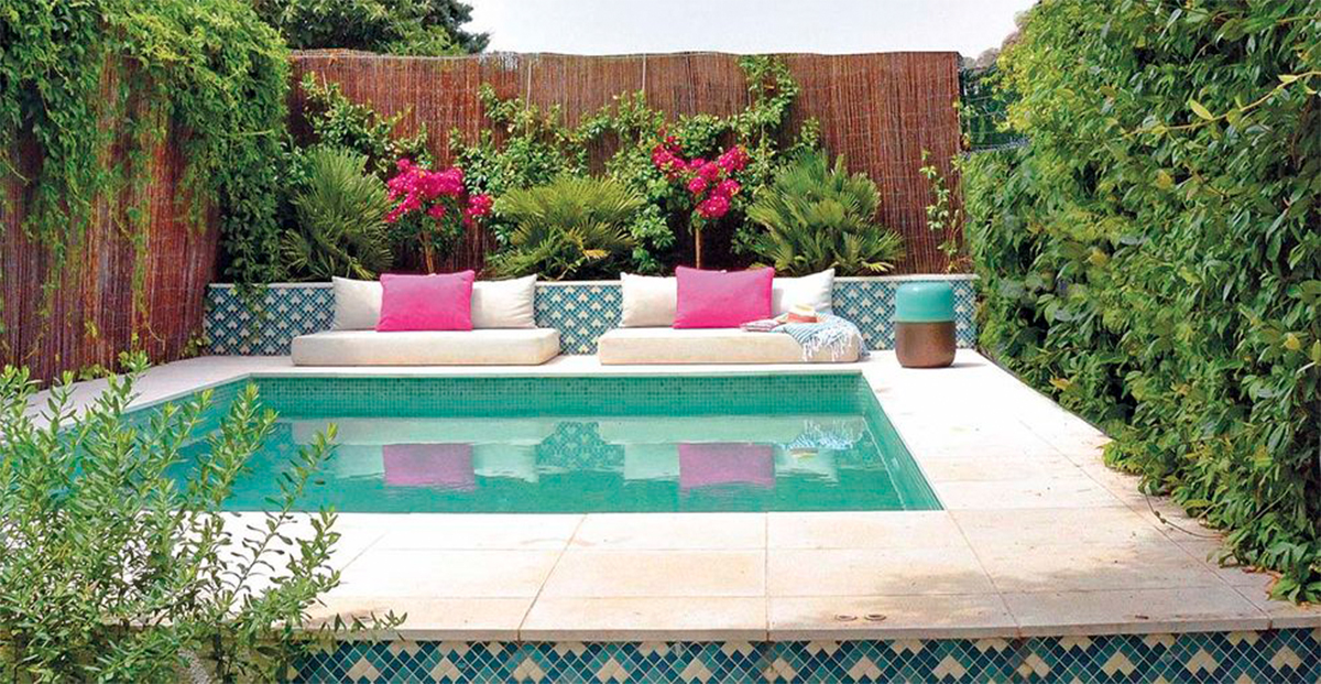 Estas son las plantas perfectas para "decorar" los bordes de las