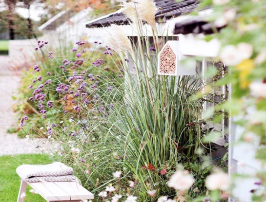 #DecoTips: qué especies plantar en primavera y cómo cuidarlas