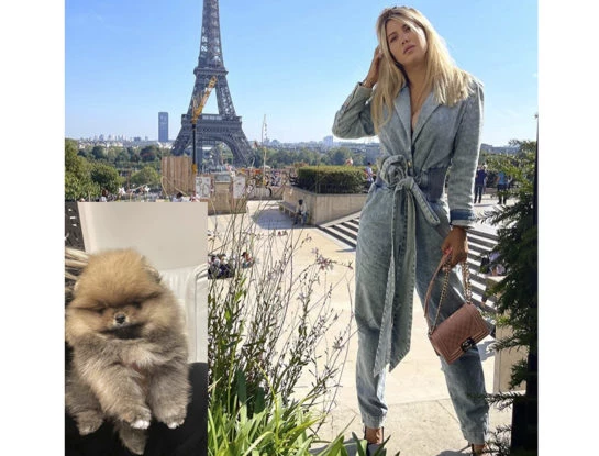 Cuánto sale y qué raza es la nueva mascota de Wanda Nara: está entre las 10 más caras del mundo