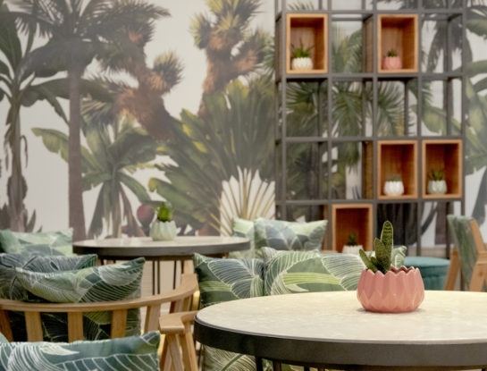 Cómo pasar un día como turista en Buenos Aires: qué lugares visitar y las mejores opciones gastronómicas para disfrutar de la city