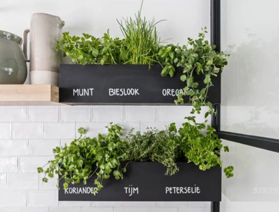 Los jardines verticales con hierbas aromáticas son tendencia: mirá como incoporarlos en tu cocina