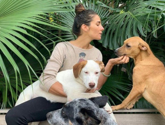 Juana Viale sorprendió al doctor López Rosetti al contar un "altercado" que tuvo con sus perros