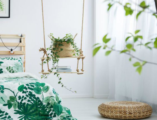 Estas son las 5 plantas de interior que te ayudarán a dormir mejor