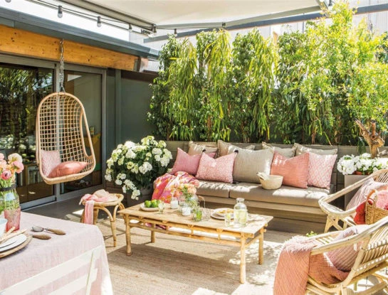 Perfectas para el verano: las mejores plantas de exterior resistentes al calor
