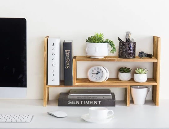 Estas son las 5 suculentas perfectas para decorar los escritorios