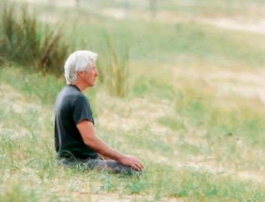 Misión secreta: Richard Gere está en Argentina