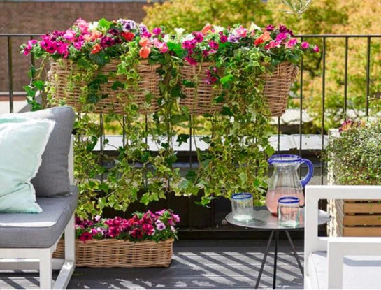 Cómo renovar tu balcón con plantas: opciones deco y fáciles de cuidar