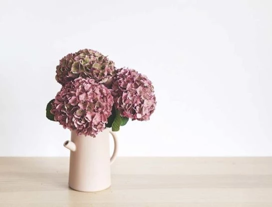 Cómo secar hortensias y armar un ramo vintage para decorar tu casa