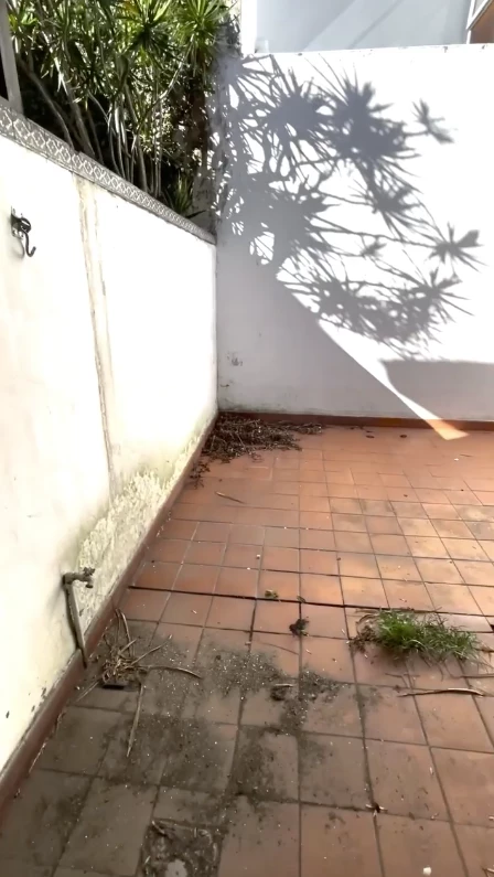 patio casa la chepi antes