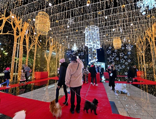 Para inspirarse: esta es la decoración navideña más linda de Francia