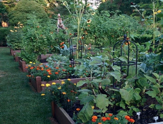 #ManualDeJardinería: todo lo que necesitás saber para armar tu propia huerta