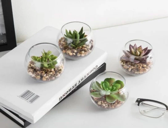 Plantas mini perfectas para decorar el escritorio de la oficina