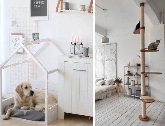 Arquitectura animal: la tendencia deco que hará feliz a tu mascota (y a vos) en 2022 según Pinterest