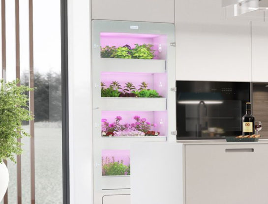 Tendencia: el diseño de las cocinas se adapta a los hábitos plant-based